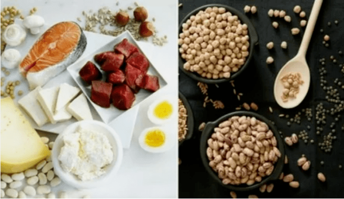 Exemples de produits alimentaires protéiques