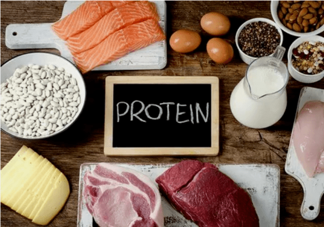 Produits alimentaires des protéines